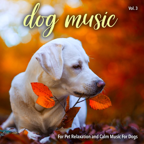 Dog Music For Pet Relaxation and Calm Music For Dogs, Vol. 3 封面