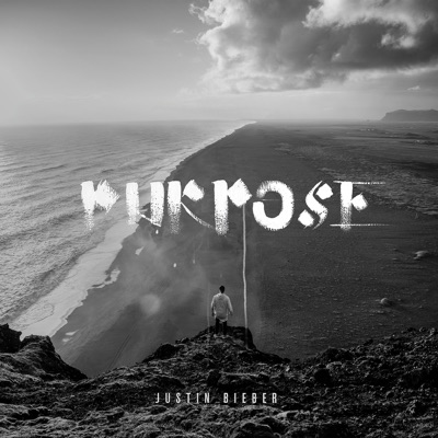 Purpose 封面