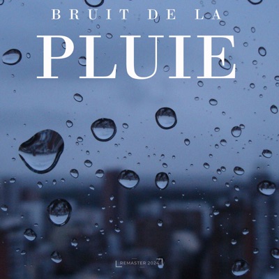 Bruit de la pluie (2024 Remaster) 封面