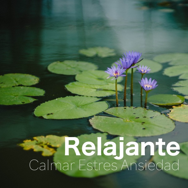 Relajante - Calmar Estres Ansiedad y Dolor de Cabeza 封面