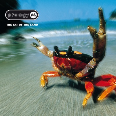The Fat of the Land 封面
