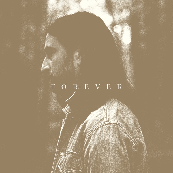 Stick Season (Forever) 封面