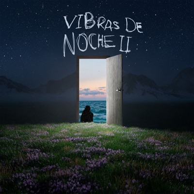 Vibras De Noche II 封面