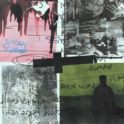 Stray Dogs 封面
