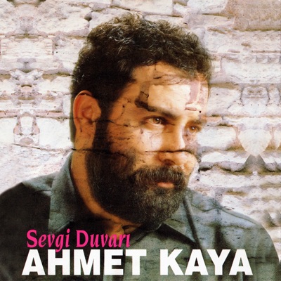 Sevgi Duvarı 封面