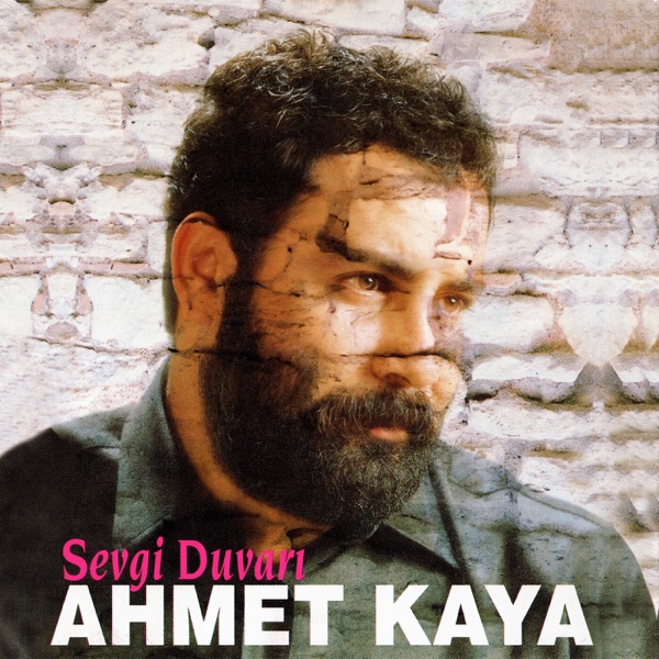 Sevgi Duvarı 封面