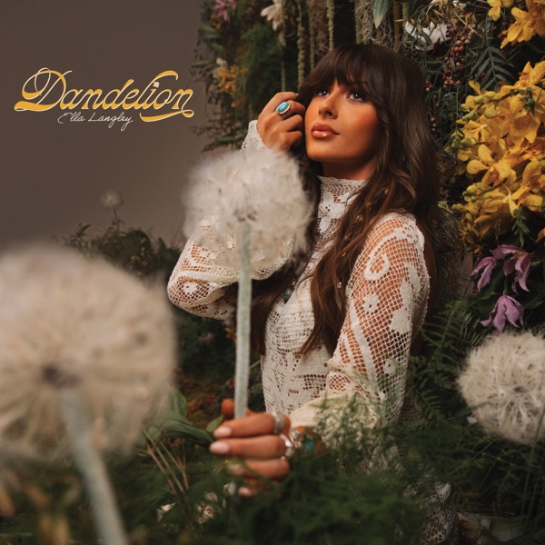 Dandelion 封面