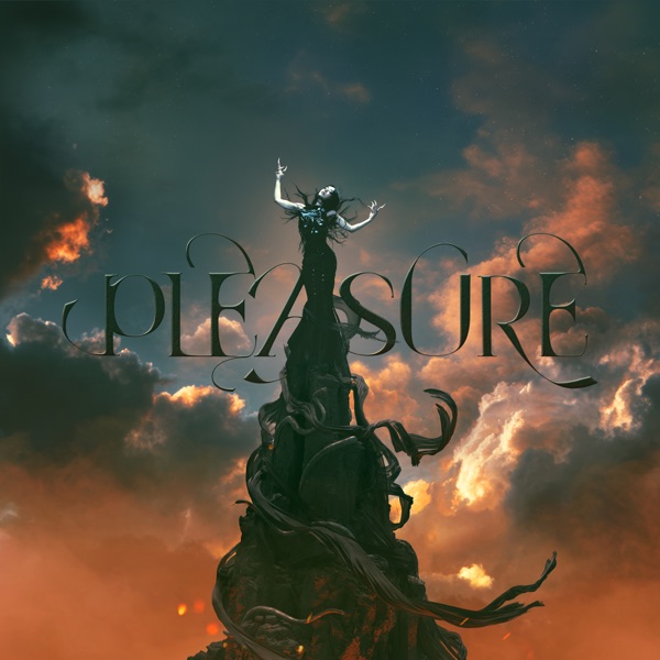 Pleasure 封面