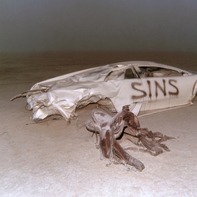 SINS 封面