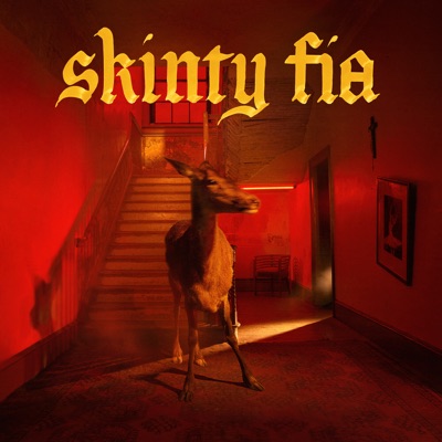 Skinty Fia 封面