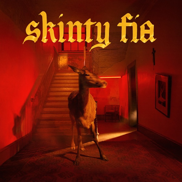 Skinty Fia 封面