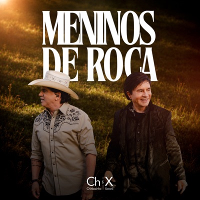 Meninos de Roça (Ao Vivo) 封面