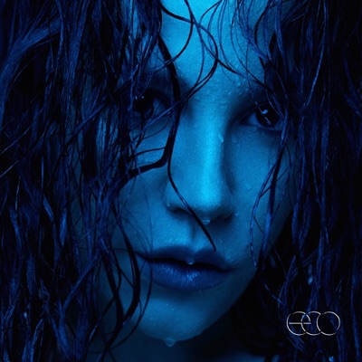 ECO 封面