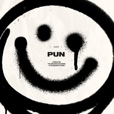 PUN 封面
