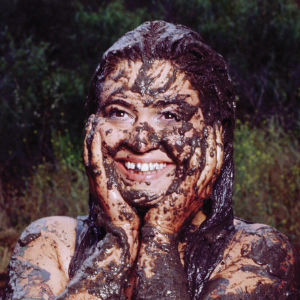 Mud 封面