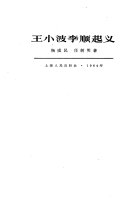王小波李顺起义 封面