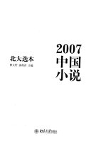 2007中国小说 封面