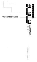 王富仁自选集 封面