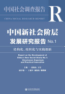 中国新社会阶层发展研究报告No.1：结构化、组织化与实践创新 封面