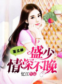 盛少,情深不晚(第三册) 封面