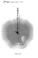 中国青少年流行文化现象报告 封面