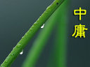 中庸全文 封面