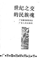 世纪之交的民族魂 封面