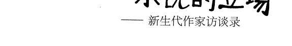 小说的立场 封面