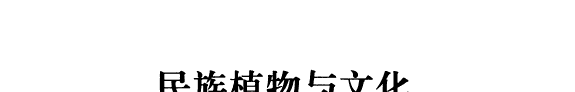 民族植物与文化 封面