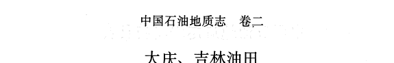 中国石油地质志 封面