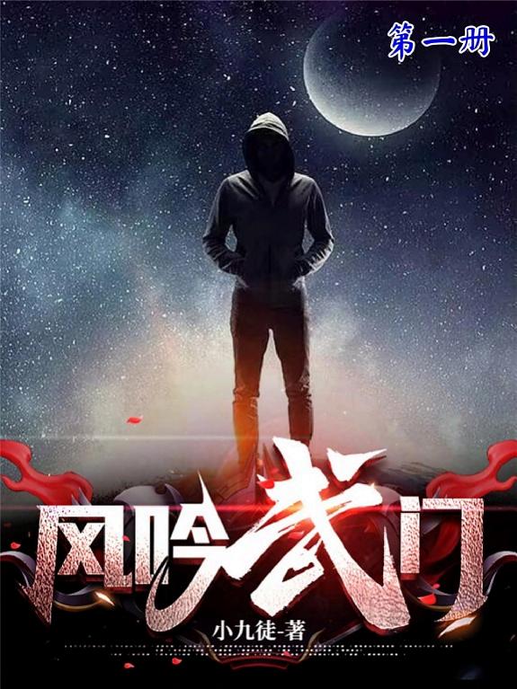 风吟武门（第一册） 封面