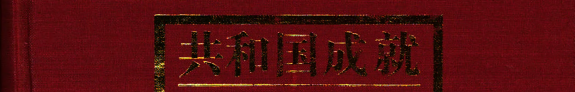 共和国成就大辞典 封面