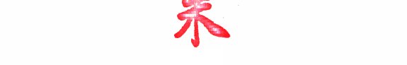 朱莊嚴氏大族譜 封面