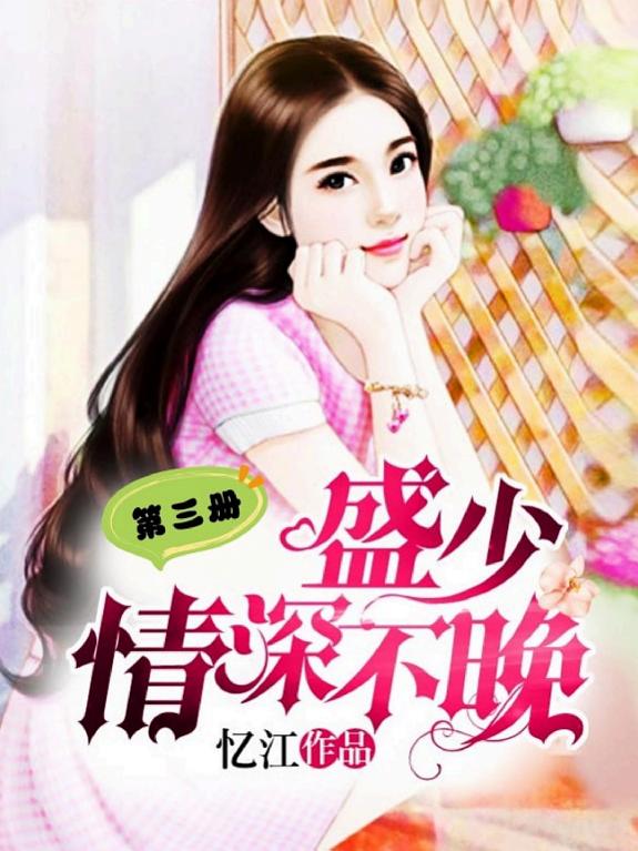 盛少,情深不晚(第三册) 封面
