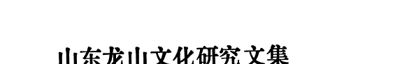 山东龙山文化研究文集 封面
