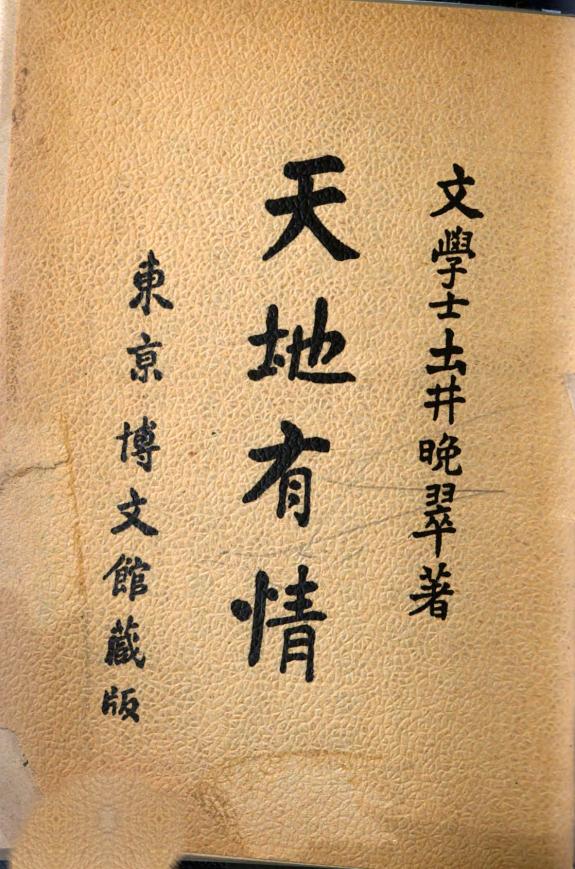 天地有情 封面