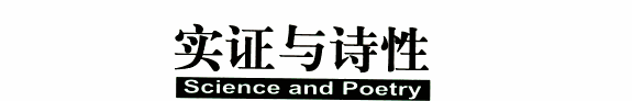 实证与诗性 封面