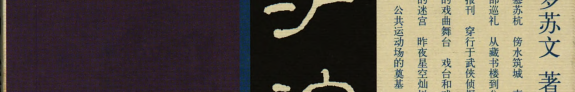 沪滨閑影 封面