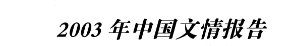 中国文情报告 封面