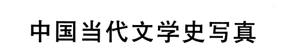 中国当代文学史写真 封面