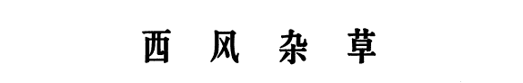 西风杂草 封面