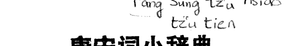 唐宋词小辞典 封面