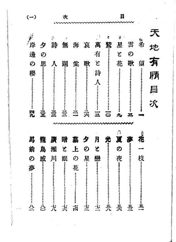 天地有情 封面