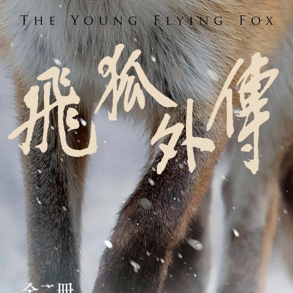 飞狐外传(全二冊,亮彩映象修訂版) 封面
