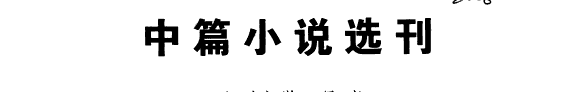中篇小说选刊 封面