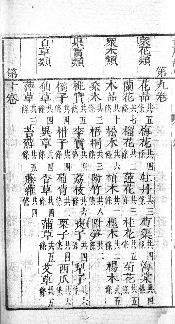 黄眉故事 封面