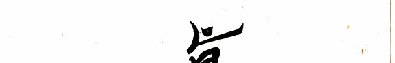 真宗大系 封面
