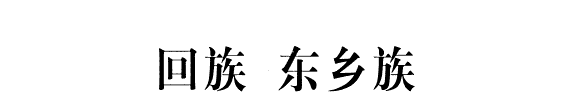 回族, 东乡族, 土族, 撒拉族, 保安族百科全书 封面