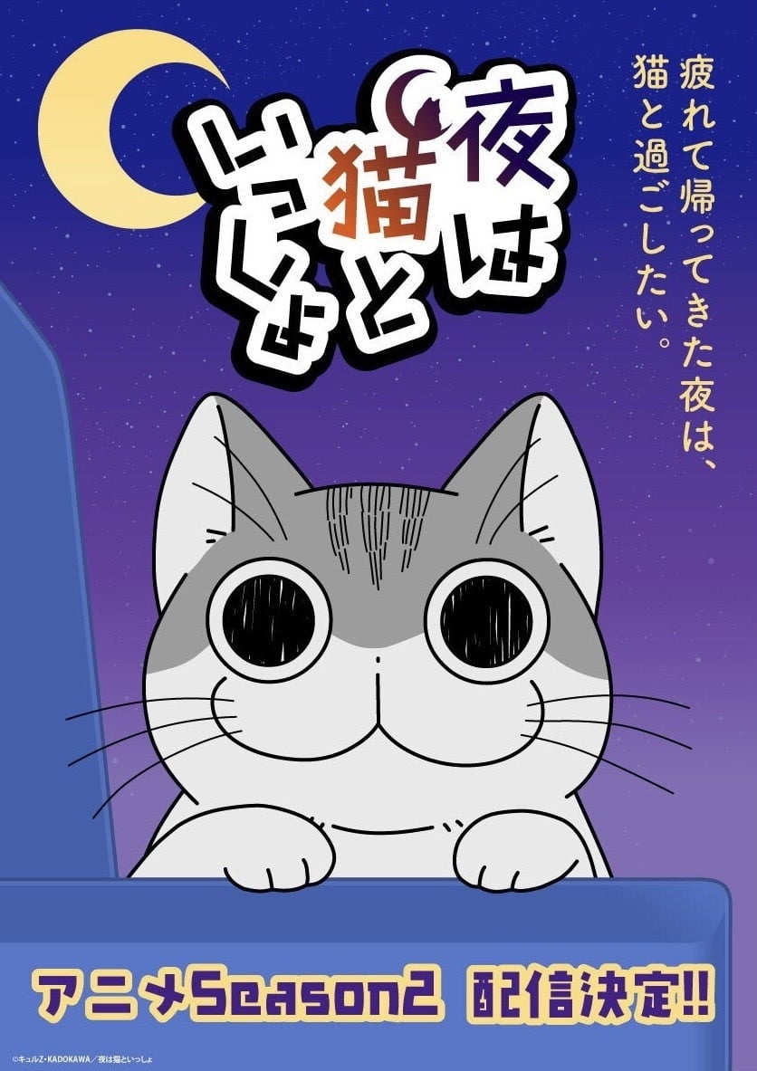 关于养猫我一直是新手 第二季 封面