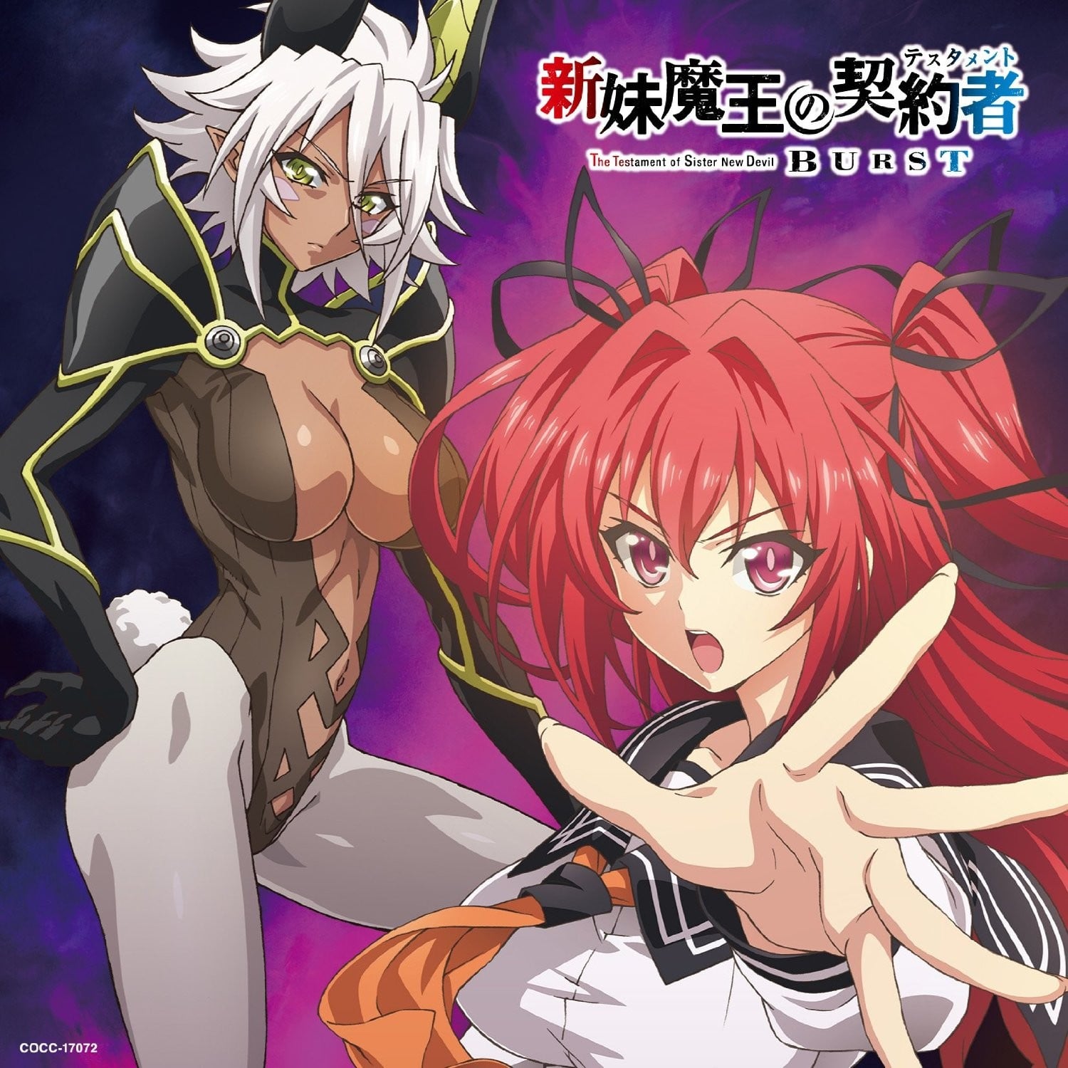 Over The Testament 封面
